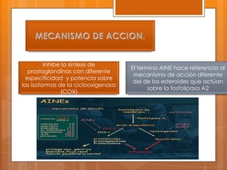 Inhibe la síntesis de
                                     El termino AINE hace referencia al
  prostaglandinas con diferente
                                      mecanismo de acción diferente
 especificidad y potencia sobre
                                      del de los esteroides que actúan
las isoformas de la ciclooxigenasa
                                            sobre la fosfolipasa A2
               (COX)
 