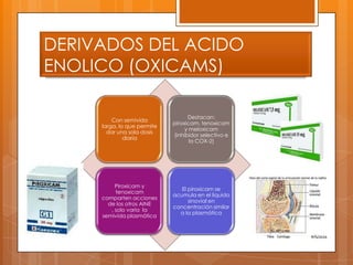 DERIVADOS DEL ACIDO
ENOLICO (OXICAMS)

                                   Destacan:
         Con semivida
                             piroxicam, tenoxicam
     larga, lo que permite
                                  y meloxicam
       dar una sola dosis
                             (inhibidor selectivo e
              diaria
                                    la COX-2)




          Piroxicam y
                                El piroxicam se
          tenoxicam
                             acumula en el liquido
     comparten acciones
                                   sinovial en
       de los otros AINE
                             concentración similar
        , solo varia la
                               a la plasmática
     semivida plasmática
 