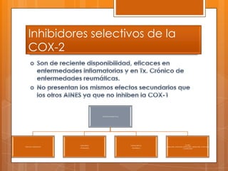 Inhibidores selectivos de la
   COX-2




                                   Inhibidores selectivos




                    Sulfonilida:                            Indolaceticos:                            Coxibs:
Oxicam: meloxicam                                                            celecoxib, rofecoxib, etoricoxib, valdecoxib, lumircoxib
                    nimesulida                               etodolaco                             y parecoxib
 