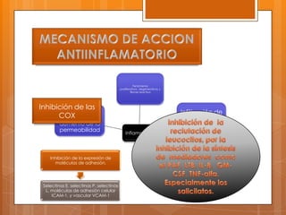 Fenómenos
                                          proliferativos, degenerativos y
                                                  fibrosis reactiva




Inhibición de las
      Vasodilatación                                                        Infiltración de
      COX local y
       capilar                                                               leucocitos y
         aumento de la                                                         fagocitos
         permeabilidad
                                              inflamación




    Inhibición de la expresión de
      moléculas de adhesión.




 Selectinas E, selectinas P, selectinas
  L, moléculas de adhesión celular
     ICAM-1, y vascular VCAM-1
 