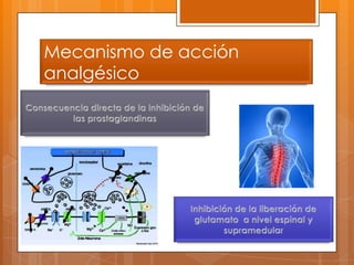 Mecanismo de acción
analgésico
 