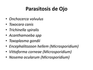 Parasitosis de OjoOnchocercavolvulusToxocaracanisTrichinellaspiralisAcanthamoebasppToxoplasma gondiiEncephalitozoonhellem (Microsporidium)Vittaformacorneae (Microsporidium)Nosemaocularum (Microsporidium)