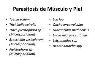 Parasitosis de Músculo y PielTaeniasoliumTrichinellaspiralisTrachipleistophorasp (Microsporidium)Bracchiolavesicularum (Microsporidium)Pleistophorasp (Microsporidium)Loa loaOnchocercavolvulusDracunculusmedinensisLarva migrans cutáneaLeishmaniassppAcanthamoebaspp
