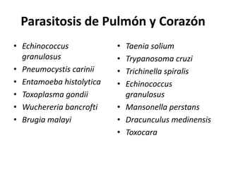 Parasitosis de Pulmón y CorazónEchinococcusgranulosusPneumocystiscariniiEntamoebahistolyticaToxoplasma gondiiWuchereriabancroftiBrugiamalayiTaeniasoliumTrypanosomacruziTrichinellaspiralisEchinococcusgranulosusMansonellaperstansDracunculusmedinensisToxocara
