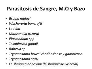 Parasitosis de Sangre, M.O y BazoBrugiamalayiWuchereriabancroftiLoa loaManzonellaozzardiPlasmodiumsppToxoplasma gondiiBabesiaspTrypanosomabruceirhodhesiense y gambienseTrypanosomacruziLeishmaniadonovani (leishmaniosis visceral)