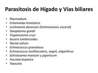 Parasitosis de Hígado y Vías biliaresPlasmodiumEntamoebahistolyticaLeishmaniadonovani (leishmaniosis visceral)Toxoplasma gondiiTrypanosomacruziAscarislumbricoidesTaeniasoliumEchinococcusgranulosusEchinococcusmultilocularis, vogeli, oligarthrusSchistosomamansoni y japonicumFasciolahepaticaToxocara