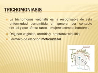 TRICHOMONIASIS





La trichomonas vaginalis es la responsable de esta
enfermedad transmitida en general por contacto
sexual y que afecta tanto a mujeres como a hombres.
Originan vaginitis, uretritis y prostatovesiculitis.
Farmaco de eleccion metronidazol.

 