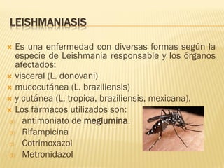LEISHMANIASIS
Es una enfermedad con diversas formas según la
especie de Leishmania responsable y los órganos
afectados:
 visceral (L. donovani)
 mucocutánea (L. braziliensis)
 y cutánea (L. tropica, braziliensis, mexicana).
 Los fármacos utilizados son:
a) antimoniato de meglumina.
b) Rifampicina
c) Cotrimoxazol
d) Metronidazol


 