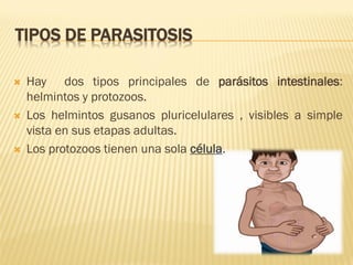 TIPOS DE PARASITOSIS






Hay dos tipos principales de parásitos intestinales:
helmintos y protozoos.
Los helmintos gusanos pluricelulares , visibles a simple
vista en sus etapas adultas.
Los protozoos tienen una sola célula.

 