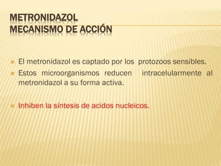 METRONIDAZOL
MECANISMO DE ACCIÓN



El metronidazol es captado por los protozoos sensibles.
Estos microorganismos reducen intracelularmente al
metronidazol a su forma activa.



Inhiben la síntesis de acidos nucleicos.



 