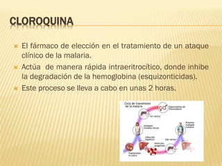 CLOROQUINA






El fármaco de elección en el tratamiento de un ataque
clínico de la malaria.
Actúa de manera rápida intraeritrocítico, donde inhibe
la degradación de la hemoglobina (esquizonticidas).
Este proceso se lleva a cabo en unas 2 horas.

 