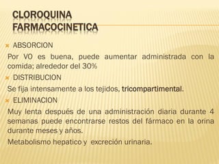 CLOROQUINA
FARMACOCINETICA
ABSORCION
Por VO es buena, puede aumentar administrada con la
comida; alrededor del 30%
 DISTRIBUCION
Se fija intensamente a los tejidos, tricompartimental.
 ELIMINACION
Muy lenta después de una administración diaria durante 4
semanas puede encontrarse restos del fármaco en la orina
durante meses y años.
Metabolismo hepatico y excreción urinaria.


 