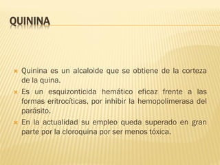 QUININA







Quinina es un alcaloide que se obtiene de la corteza
de la quina.
Es un esquizonticida hemático eficaz frente a las
formas eritrocíticas, por inhibir la hemopolimerasa del
parásito.
En la actualidad su empleo queda superado en gran
parte por la cloroquina por ser menos tóxica.

 