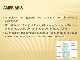 AMEBIASIS






Amebiasis en general es causada por Entamoeba
Hystolytica.
Se adquiere al ingerir los quistes que se encuentran en
alimentos o agua contaminados con material fecal.
La infección por amebas puede ser asintomática o puede
causar síntomas que pueden ser leves o severos.

 