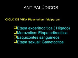 ANTIPALÚDICOS
Etapa exoeritrocítica ( Hígado)
Merozoitos: Etapa eritrocítica
Esquizontes sanguíneos
Etapa sexual: Gametocitos
CICLO DE VIDA Plasmodium falciparum
 