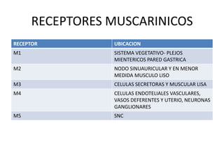 RECEPTORES MUSCARINICOS
RECEPTOR        UBICACION
M1              SISTEMA VEGETATIVO- PLEJOS
                MIENTERICOS PARED GASTRICA
M2              NODO SINUAURICULAR Y EN MENOR
                MEDIDA MUSCULO LISO
M3              CELULAS SECRETORAS Y MUSCULAR LISA
M4              CELULAS ENDOTELIALES VASCULARES,
                VASOS DEFERENTES Y UTERIO, NEURONAS
                GANGLIONARES
M5              SNC
 