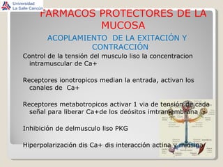 FARMACOS PROTECTORES DE LA MUCOSA ACOPLAMIENTO  DE LA EXITACIÓN Y CONTRACCIÓN Control de la tensión del musculo liso la concentracion intramuscular de Ca+ Receptores ionotropicos median la entrada, activan los canales de  Ca+ Receptores metabotropicos activar 1 via de tensión de cada señal para liberar Ca+de los deósitos imtramembrana Inhibición de delmusculo liso PKG Hiperpolarización dis Ca+ dis interacción actina y miosina 