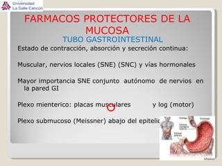 FARMACOS PROTECTORES DE LA MUCOSA TUBO GASTROINTESTINAL Estado de contracción, absorción y secreción continua: Muscular, nervios locales (SNE) (SNC) y vías hormonales Mayor importancia SNE conjunto  autónomo  de nervios  en la pared GI Plexo mienterico: placas musculares  y log (motor) Plexo submucoso (Meissner) abajo del epitelio (secretora) 