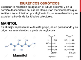 DIURÉTICOS OSMÓTICOS
Bloquean la resorción de agua en el túbulo proximal y en la
porción descendente del asa de Henle. Son medicamentos que
se filtran en su totalidad por el glomérulo, no se reabsorben y se
excretan a través de los túbulos colectores.
MANITOL
Es el mejor representante de este grupo, es un polisacárido y su
origen es semi sintético a partir de la glucosa
 