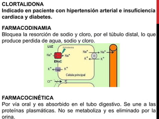 CLORTALIDONA
Indicado en paciente con hipertensión arterial e insuficiencia
cardiaca y diabetes.
FARMACODINAMIA
Bloquea la resorción de sodio y cloro, por el túbulo distal, lo que
produce perdida de agua, sodio y cloro.
FARMACOCINÉTICA
Por vía oral y es absorbido en el tubo digestivo. Se une a las
proteínas plasmáticas. No se metaboliza y es eliminado por la
orina.
 