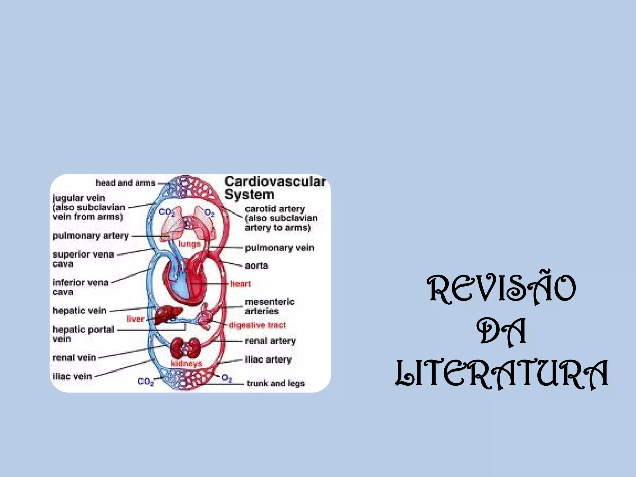 REVISÃO
DA
LITERATURA

 