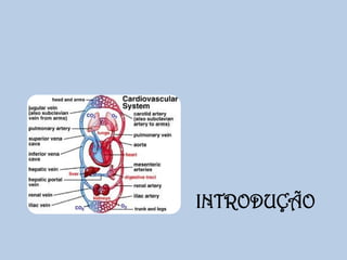 INTRODUÇÃO

 