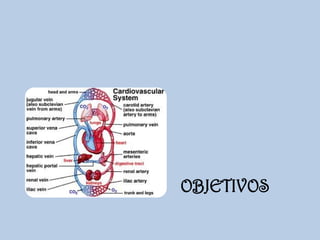 OBJETIVOS

 