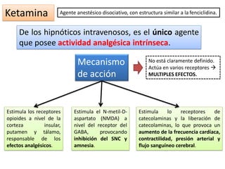 Ketamina
De los hipnóticos intravenosos, es el único agente
que posee actividad analgésica intrínseca.
Agente anestésico disociativo, con estructura similar a la fenciclidina.
Mecanismo
de acción
Estimula lo receptores de
catecolaminas y la liberación de
catecolaminas, lo que provoca un
aumento de la frecuencia cardíaca,
contractilidad, presión arterial y
flujo sanguíneo cerebral.
No está claramente definido.
Actúa en varios receptores 
MULTIPLES EFECTOS.
Estimula el N-metil-D-
aspartato (NMDA) a
nivel del receptor del
GABA, provocando
inhibición del SNC y
amnesia.
Estimula los receptores
opioides a nivel de la
corteza insular,
putamen y tálamo,
responsable de los
efectos analgésicos.
 