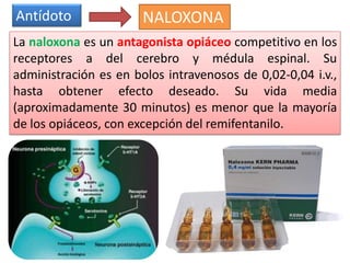 Antídoto
La naloxona es un antagonista opiáceo competitivo en los
receptores a del cerebro y médula espinal. Su
administración es en bolos intravenosos de 0,02-0,04 i.v.,
hasta obtener efecto deseado. Su vida media
(aproximadamente 30 minutos) es menor que la mayoría
de los opiáceos, con excepción del remifentanilo.
NALOXONA
 