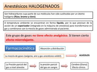 Anestésicos HALOGENADOS
A temperatura ambiente se encuentran en forma líquida, por lo que precisan de la
acción de un vaporizador (integrado en la máquina de anestesia) para transformarse en
gas y combinarse con la mezcla de gases administrada al paciente.
Son hidrocarburos cuya parte de sus moléculas han sido sustituidas por un átomo
halógeno (flúor, bromo y cloro).
Este grupo de gases no tiene efecto analgésico. Sí tienen cierto
efecto miorrelajante.
Farmacocinética Absorción y distribución
La mezcla de gases (oxígeno, aire y gas anestésico volátil). ALVEOLOS
La Presión parcial del
gas a nivel alveolar.
la presión parcial
del gas en sangre.
Cerebro (Diana)
Efecto clínico.
Determina Determina
 