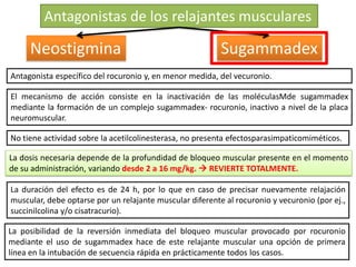 Antagonista específico del rocuronio y, en menor medida, del vecuronio.
El mecanismo de acción consiste en la inactivación de las moléculasMde sugammadex
mediante la formación de un complejo sugammadex- rocuronio, inactivo a nivel de la placa
neuromuscular.
No tiene actividad sobre la acetilcolinesterasa, no presenta efectosparasimpaticomiméticos.
La dosis necesaria depende de la profundidad de bloqueo muscular presente en el momento
de su administración, variando desde 2 a 16 mg/kg.  REVIERTE TOTALMENTE.
Antagonistas de los relajantes musculares
Neostigmina Sugammadex
La duración del efecto es de 24 h, por lo que en caso de precisar nuevamente relajación
muscular, debe optarse por un relajante muscular diferente al rocuronio y vecuronio (por ej.,
succinilcolina y/o cisatracurio).
La posibilidad de la reversión inmediata del bloqueo muscular provocado por rocuronio
mediante el uso de sugammadex hace de este relajante muscular una opción de primera
línea en la intubación de secuencia rápida en prácticamente todos los casos.
 