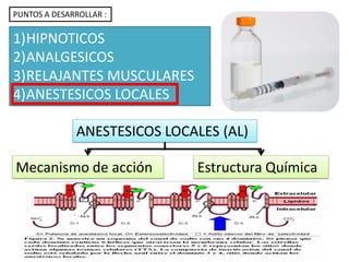 ANESTESICOS LOCALES (AL)
PUNTOS A DESARROLLAR :
1)HIPNOTICOS
2)ANALGESICOS
3)RELAJANTES MUSCULARES
4)ANESTESICOS LOCALES
Mecanismo de acción Estructura Química
 