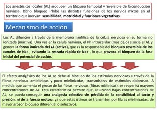 Los anestésicos locales (AL) producen un bloqueo temporal y reversible de la conducción
nerviosa. Dicho bloqueo inhibe las distintas funciones de los nervios mixtos en el
territorio que inervan: sensibilidad, motricidad y funciones vegetativas.
Mecanismo de acción
Los AL difunden a través de la membrana lipofílica de la célula nerviosa en su forma no
ionizada (inactiva). Una vez en la célula nerviosa, el Ph intracelular (más bajo) disocia el AL y
genera la forma ionizada del AL (activa), que es la responsable del bloqueo reversible de los
canales de Na+ , evitando la entrada rápida de Na+ , lo que provoca el bloqueo de la fase
inicial del potencial de acción.
El efecto analgésico de los AL se debe al bloqueo de los estímulos nerviosos a través de la
fibras nerviosas amielínicas y poco mielinizadas, transmisoras de estímulos dolorosos. A
medida que aumenta el grosor de las fibras nerviosas (fibras mielínicas), se requerirá mayores
concentraciones de AL. Esta característica permite que, utilizando bajas concentraciones de
AL, se pueda conseguir una analgesia selectiva sin pérdida de la sensibilidad al tacto y
presión, ni de la fuerza motora, ya que estas últimas se transmiten por fibras mielinizadas, de
mayor grosor (bloqueo diferencial o selectivo).
 