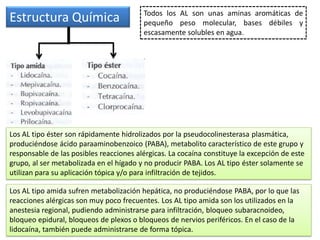 Estructura Química Todos los AL son unas aminas aromáticas de
pequeño peso molecular, bases débiles y
escasamente solubles en agua.
Los AL tipo éster son rápidamente hidrolizados por la pseudocolinesterasa plasmática,
produciéndose ácido paraaminobenzoico (PABA), metabolito característico de este grupo y
responsable de las posibles reacciones alérgicas. La cocaína constituye la excepción de este
grupo, al ser metabolizada en el hígado y no producir PABA. Los AL tipo éster solamente se
utilizan para su aplicación tópica y/o para infiltración de tejidos.
Los AL tipo amida sufren metabolización hepática, no produciéndose PABA, por lo que las
reacciones alérgicas son muy poco frecuentes. Los AL tipo amida son los utilizados en la
anestesia regional, pudiendo administrarse para infiltración, bloqueo subaracnoideo,
bloqueo epidural, bloqueos de plexos o bloqueos de nervios periféricos. En el caso de la
lidocaína, también puede administrarse de forma tópica.
 