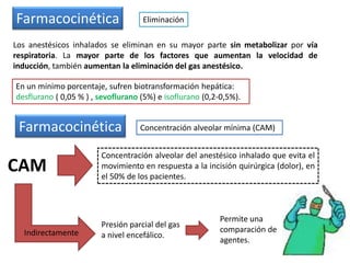 Farmacocinética Eliminación
Los anestésicos inhalados se eliminan en su mayor parte sin metabolizar por vía
respiratoria. La mayor parte de los factores que aumentan la velocidad de
inducción, también aumentan la eliminación del gas anestésico.
En un mínimo porcentaje, sufren biotransformación hepática:
desflurano ( 0,05 % ) , sevoflurano (5%) e isoflurano (0,2-0,5%).
Concentración alveolar mínima (CAM)Farmacocinética
CAM
Concentración alveolar del anestésico inhalado que evita el
movimiento en respuesta a la incisión quirúrgica (dolor), en
el 50% de los pacientes.
Indirectamente
Presión parcial del gas
a nivel encefálico.
Permite una
comparación de
agentes.
 