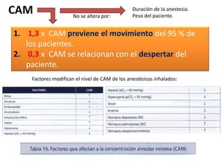 CAM
1. 1,3 x CAM previene el movimiento del 95 % de
los pacientes.
2. 0,3 x CAM se relacionan con el despertar del
paciente.
Factores modifican el nivel de CAM de los anestésicos inhalados:
Duración de la anestesia.
Peso del paciente.No se altera por:
 