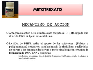 MECANISMO DE ACCION
 Antagonista activo de la dihidrofolato reductasa (DHFR), impide que
el ácido fólico se fije al sitio catalítico.
 La falta de DHFR retira el aporte de los cofactores (Folatos y
poliglutamatos) necesarios para la síntesis de timidilato, nucléotidos
de purina y los aminoácidos serina y metionina lo que interrumpe la
formación de DNA, RNA y proteínas.
• Interfiere en procesos de síntesis de ADN, Reparación, Proliferacion celular actua en la
fase S del ciclo celular
METOTREXATO
 