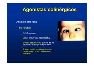 ƒ Anticolinesterasa
ƒ Irreversible:
ƒ Echothiophate
ƒ Usos: endotropia acomodativa
ƒ Efectos secundarios: quistes de iris
y catarata subcapsular posterior
ƒ Puede ocasionar apnea si se usa
combinado con succinilcolina o
procaína
Agonistas colinérgicos
 