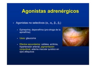 Agonistas adrenérgicos
ƒ Agonistas no selectivos (α1, α2, β1, β2)
ƒ Epineprina, depevefrina (pro-droga de la
epinefrina)
ƒ Usos: glaucoma
ƒ Efectos secundarios: cefalea, arritmia,
hipertensión arterial, pigmentación
conjuntival, edema macular quístico en
ojos afáquicos
 