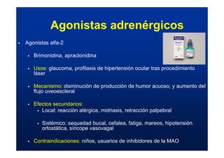 ƒ Agonistas alfa-2
ƒ Brimonidina, apraclonidina
ƒ Usos: glaucoma, profilaxis de hipertensión ocular tras procedimiento
láser
ƒ Mecanismo: disminución de producción de humor acuoso, y aumento del
flujo uveoescleral
ƒ Efectos secundarios:
ƒ Local: reacción alérgica, midriasis, retracción palpebral
ƒ Sistémico: sequedad bucal, cefalea, fatiga, mareos, hipotensión
ortostática, síncope vasovagal
ƒ Contraindicaciones: niños, usuarios de inhibidores de la MAO
Agonistas adrenérgicos
 