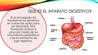 QUE ES EL APARATO DIGESTIVO?
Es el encargado de
transformar los alimentos
en sustancias aptas para
ser absovidas. Esta
formación la lleva a
cavo por medio de los
movimientos peristálticos
y de los fermentos de
jugo digestivo.
 