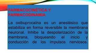 FARMACOCINÉTICA Y
FARMACODINAMIA
La oxibuprocaína es un anestésico que
estabiliza en forma reversible la membrana
neuronal. Inhibe la despolarización de la
membrana, bloqueando el inicio y
conducción de los impulsos nerviosos.
 