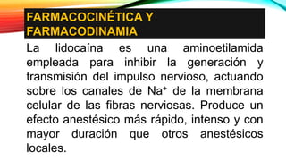 FARMACOCINÉTICA Y
FARMACODINAMIA
La lidocaína es una aminoetilamida
empleada para inhibir la generación y
transmisión del impulso nervioso, actuando
sobre los canales de Na+ de la membrana
celular de las fibras nerviosas. Produce un
efecto anestésico más rápido, intenso y con
mayor duración que otros anestésicos
locales.
 