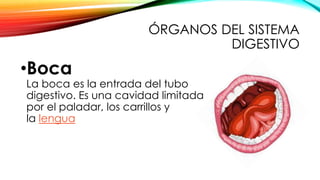 ÓRGANOS DEL SISTEMA
DIGESTIVO
•Boca
La boca es la entrada del tubo
digestivo. Es una cavidad limitada
por el paladar, los carrillos y
la lengua
 