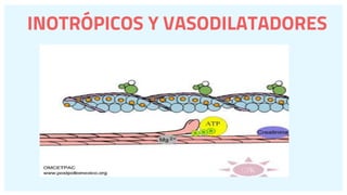 Inotropos Fármacos del Sistema cardiovascular | PPTX