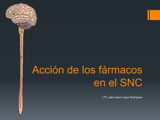 Acción de los fármacos
             en el SNC
              LTF. Julio César López Rodríguez
 