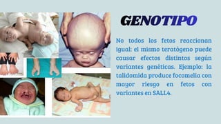 Focomelia Rx Farmacos teratogénicos _20260222_003817_0000.pdf