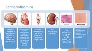 Broncodi Farmacos utilizados en el asma | PPTX