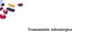Transmisión Adrenérgica
 