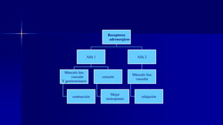Receptores
adrenergicos
Alfa 1
Músculo liso
vascular
Y genitourinario
contracción
corazón
Mejor
inotropismo
Alfa 2
Músculo liso
vascular
relajación
 